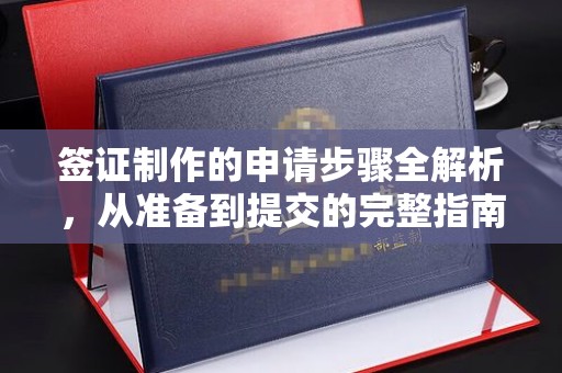 大湖签证制作的申请步骤全解析，从准备到提交的完整指南